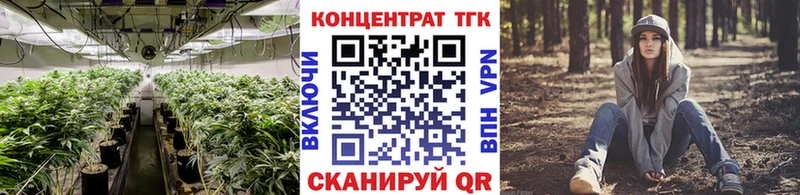ТГК THC oil  закладки  Хилок 