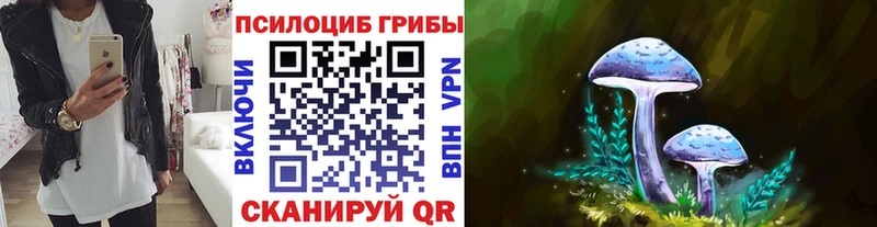 Псилоцибиновые грибы Magic Shrooms  Хилок 